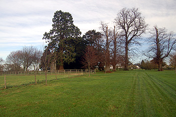 The approach to Hulcote church December 2011